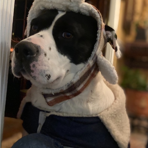 Meet your Posher, JB - Picture 5 of 11